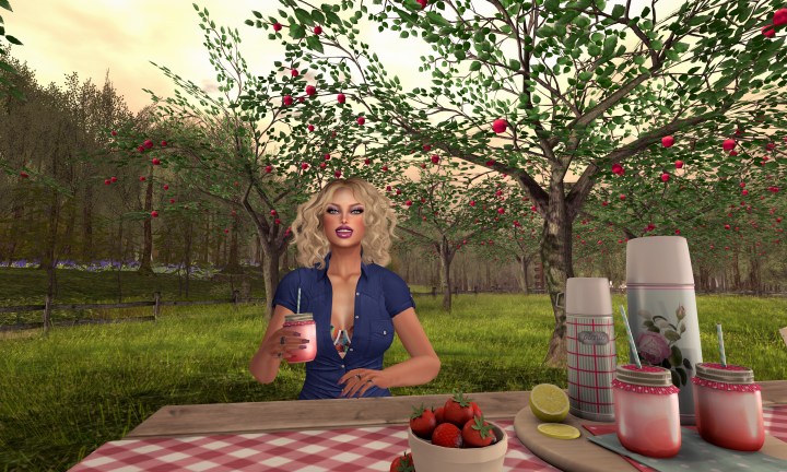 Coffee in the&nbsp;Countryside