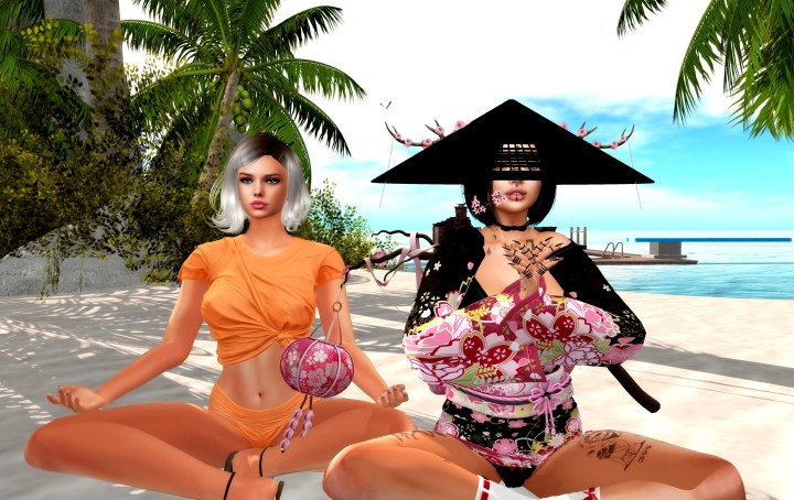 Beverley teaches Tai&nbsp;Chihuahua