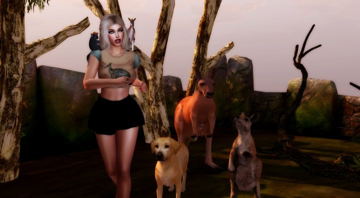 Be part of save the&nbsp;animals