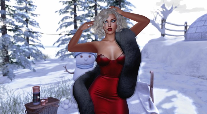 Why do cats&nbsp;purr?