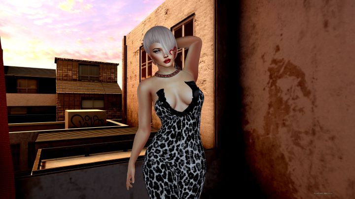 Just chilling in the&nbsp;sunset