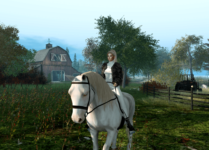 Chilling on my&nbsp;own