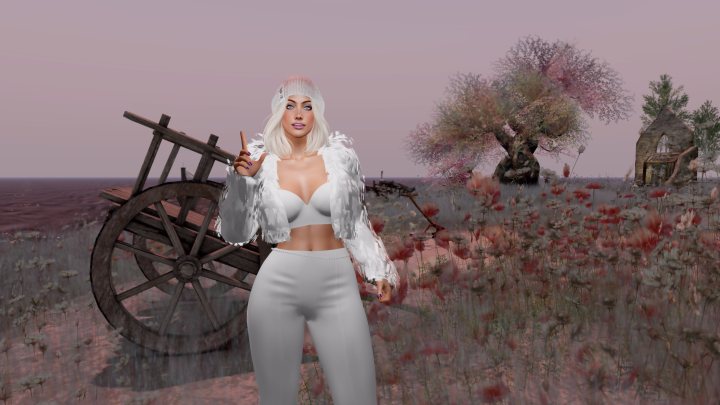 Virtuality sure wins