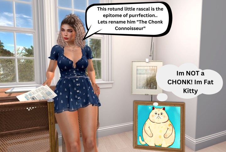 The Chonk Connoisseur