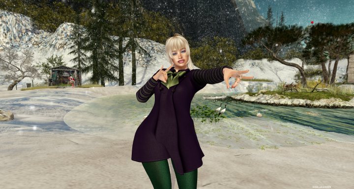 Winter Second Life